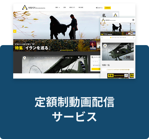 定額制動画配信サービス
